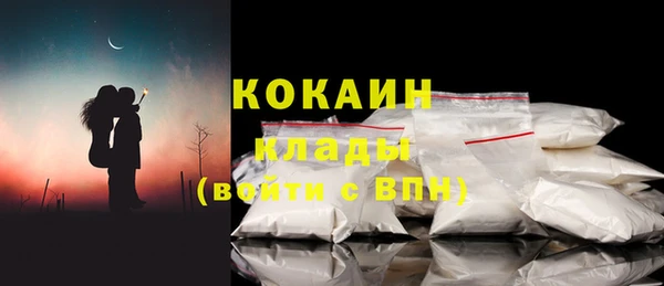 соль ск Алексин