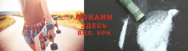 соль ск Алексин