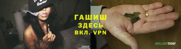 соль ск Алексин