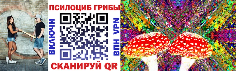 Галлюциногенные грибы мицелий  мега сайт  Междуреченск 
